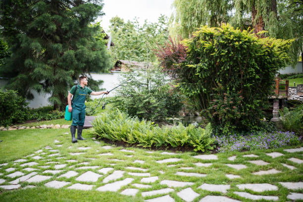 Best Affordable Pest Control Services  in Kenilworth, PA