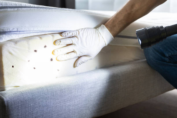 Best Commercial Pest Control Services  in Kenilworth, PA
