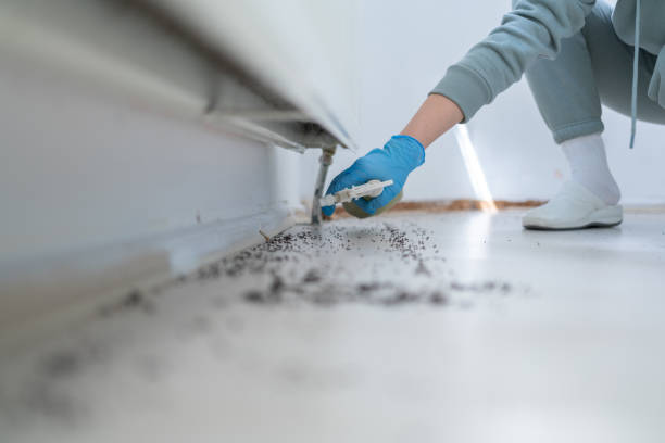 Best Emergency Pest Control  in Kenilworth, PA